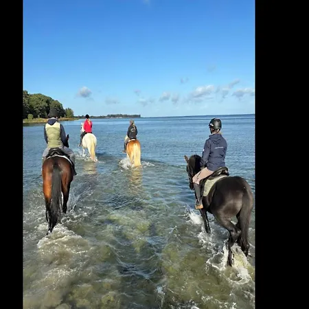 In Mit Garten Zierow