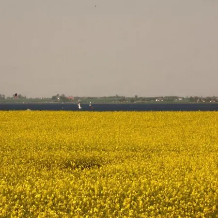 Σπίτι διακοπών In Mit Garten